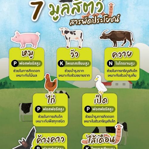 7 มูลสัตว์ สารพัดประโยชน์