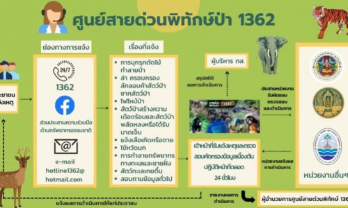 ศูนย์สายด่วนพิทักษ์ป่า 1362