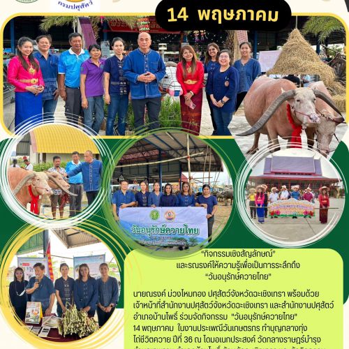 วันอนุรักษ์ควายไทย 2567