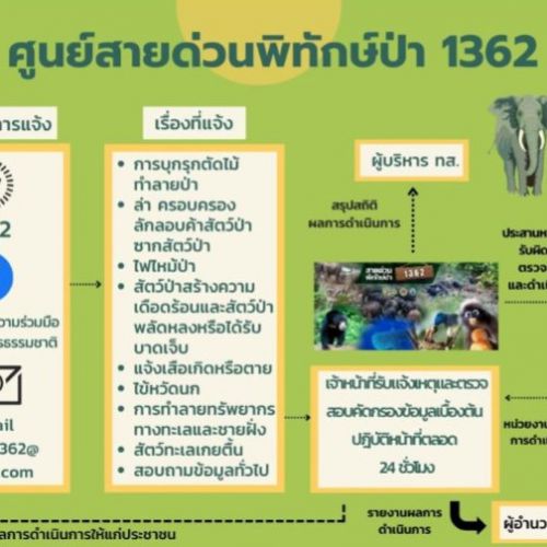 ศูนย์สายด่วนพิทักษ์ป่า 1362